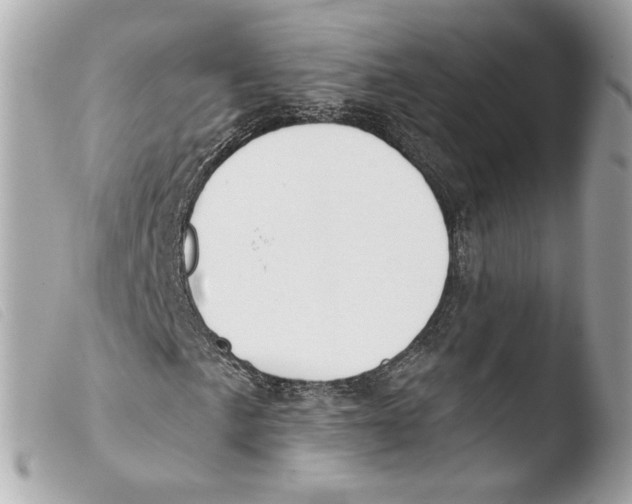 X0000103491057200810101017