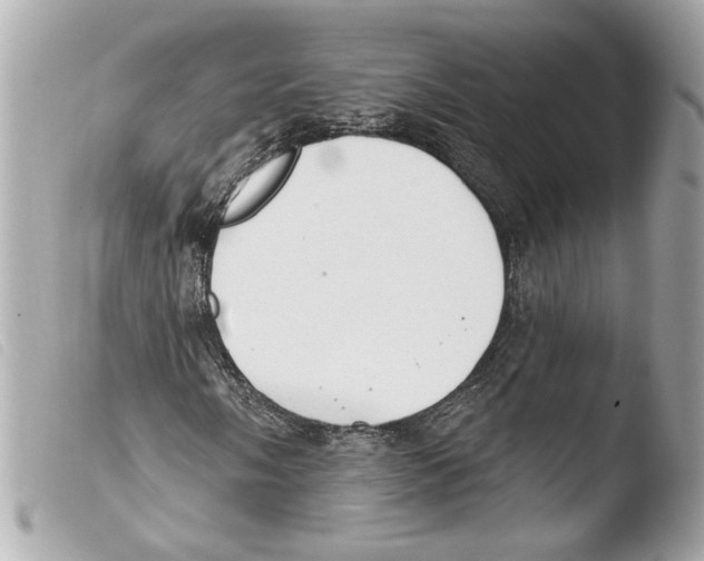 X0000103491058200810101017