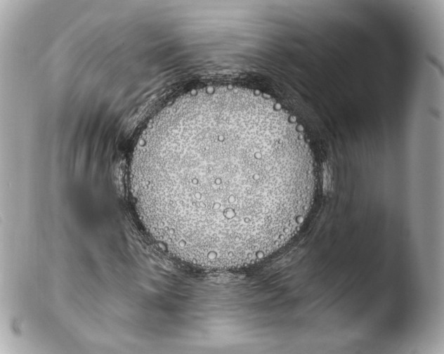 X0000103491059200810101017