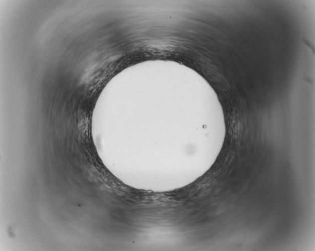 X0000103491061200810101017