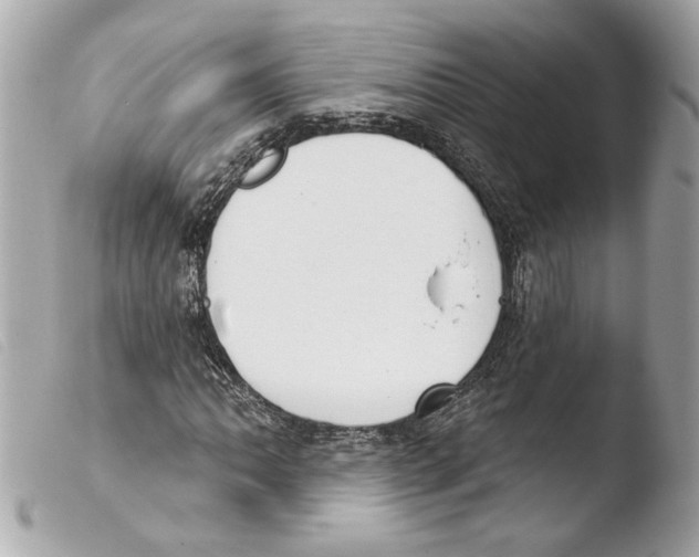 X0000103491062200810101017