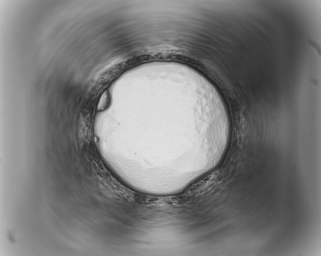 X0000103491063200810101017