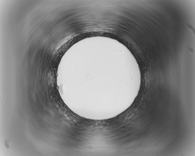 X0000103491064200810101017