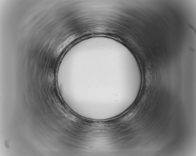 X0000103491065200810101017