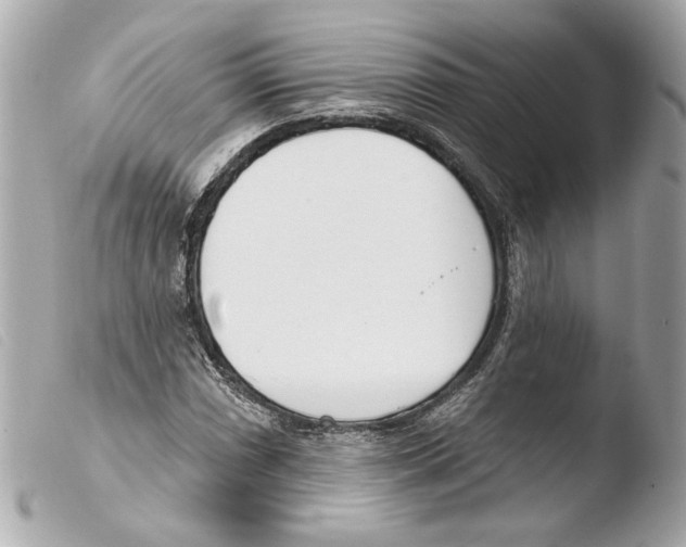 X0000103491066200810101017