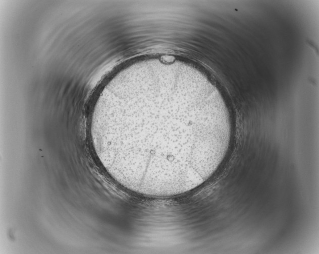 X0000103491067200810101017