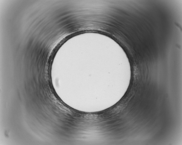 X0000103491068200810101017