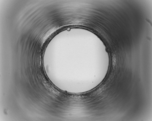 X0000103491069200810101017