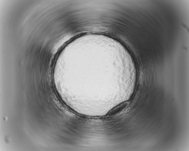 X0000103491071200810101017