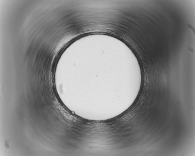 X0000103491072200810101017