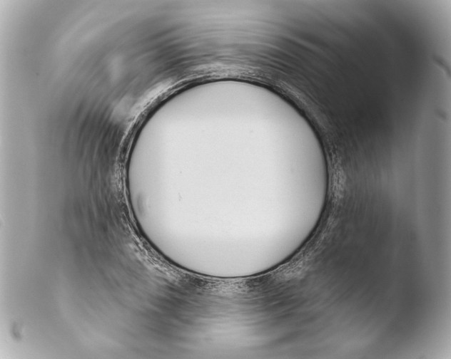 X0000103491074200810101017