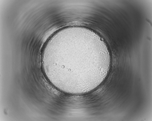 X0000103491075200810101017