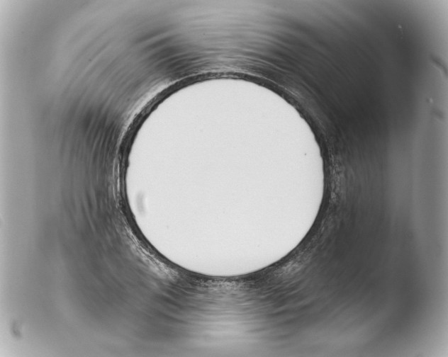 X0000103491076200810101017