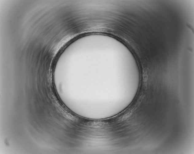 X0000103491077200810101017