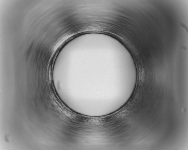 X0000103491078200810101017