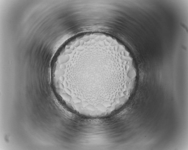 X0000103491079200810101017