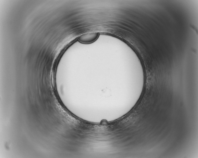 X0000103491080200810101017