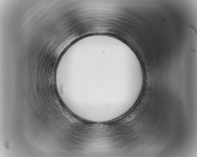 X0000103491081200810101017