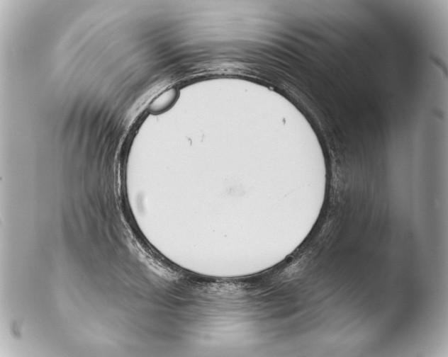 X0000103491082200810101017