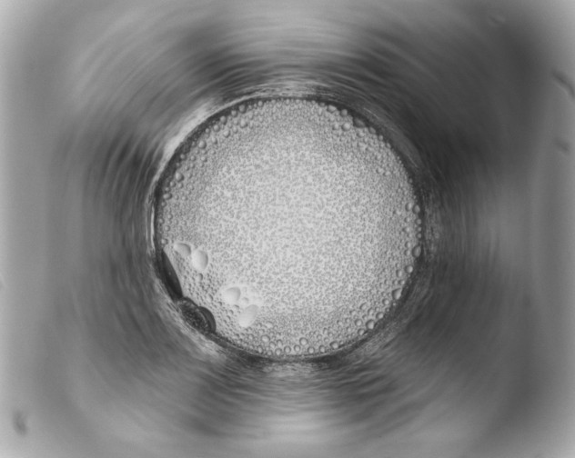 X0000103491083200810101017