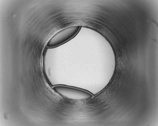 X0000103491084200810101017