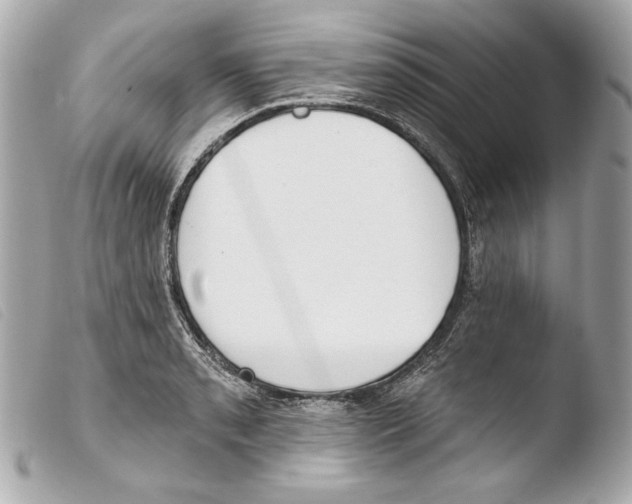 X0000103491085200810101017