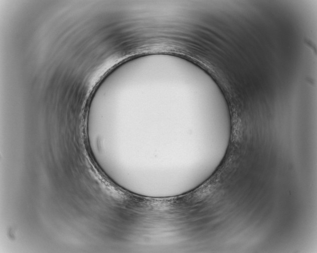 X0000103491086200810101017