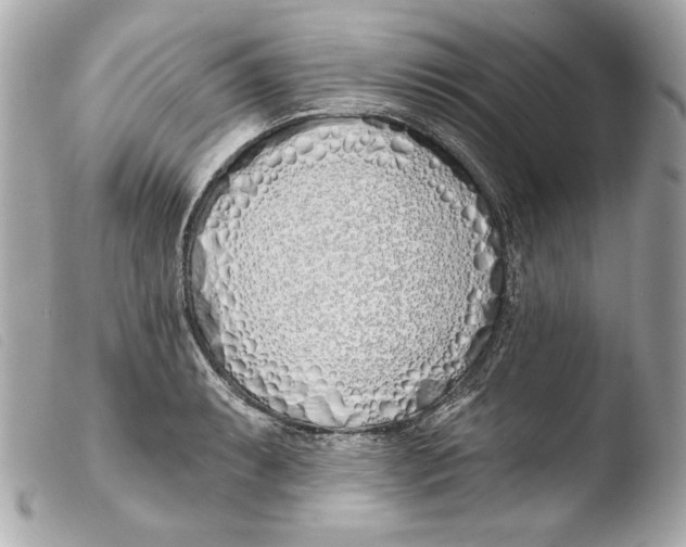 X0000103491087200810101016