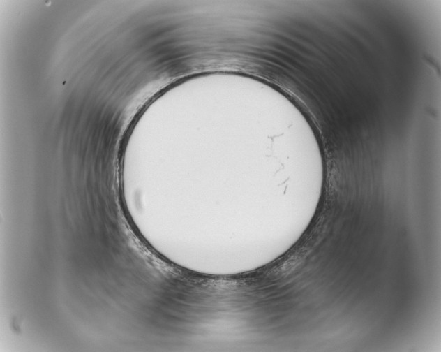 X0000103491088200810101016