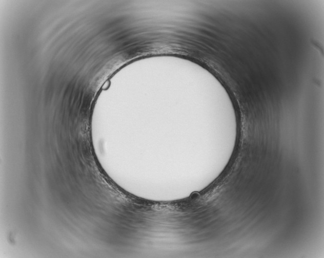 X0000103491089200810101016