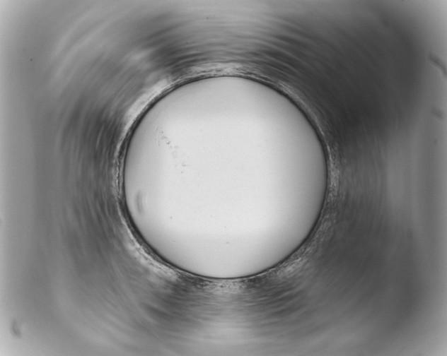 X0000103491090200810101016