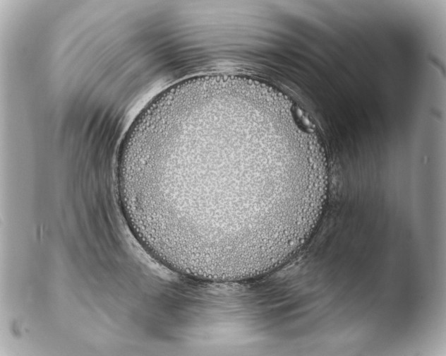 X0000103491091200810101016