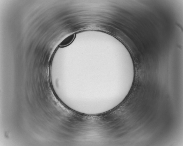 X0000103491092200810101016