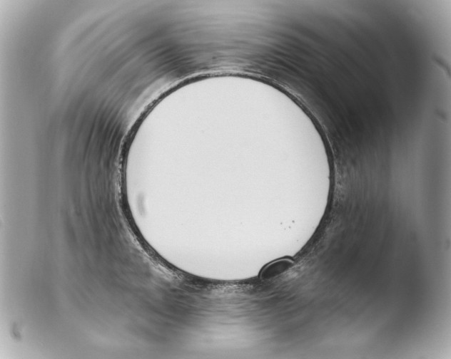 X0000103491093200810101016