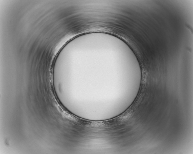 X0000103491094200810101016