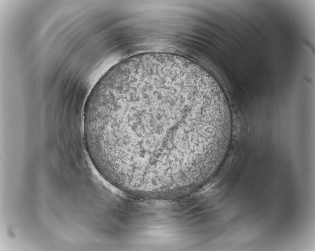 X0000103491095200810101016