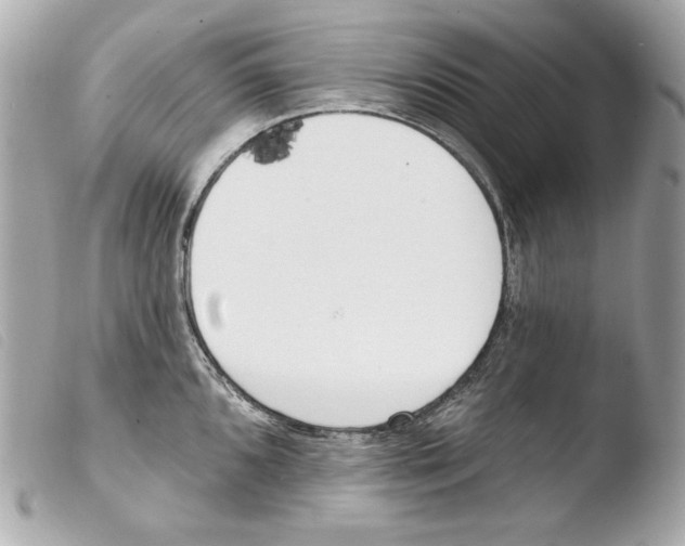 X0000103491096200810101016