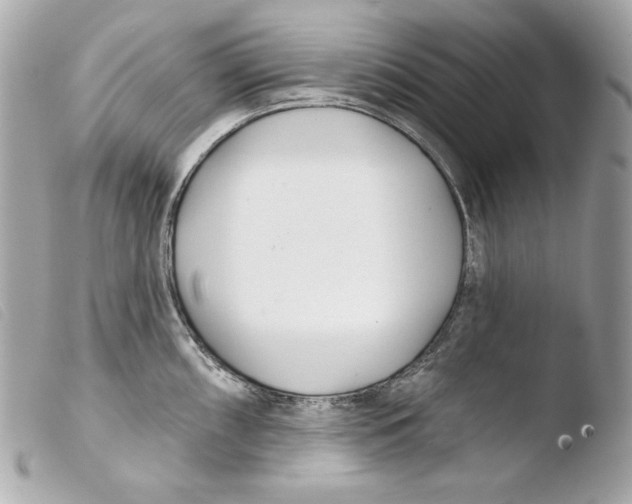 X0000103491098200810101016