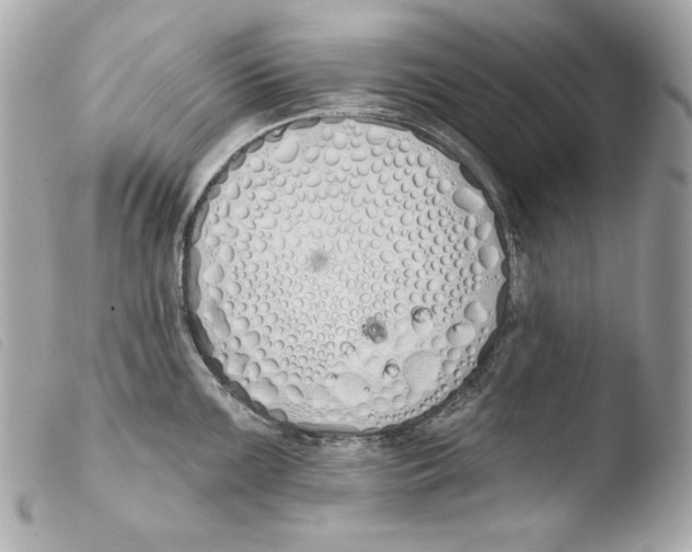 X0000103491099200810101016