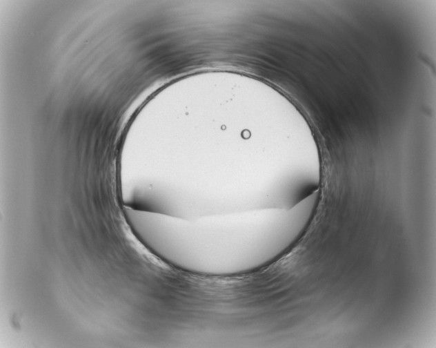 X0000103491100200810101016