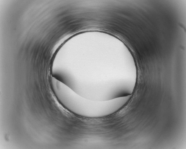 X0000103491101200810101016