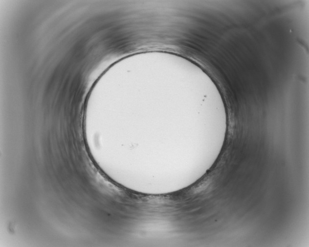 X0000103491102200810101016