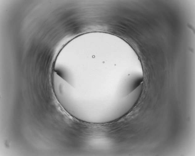 X0000103491104200810101016