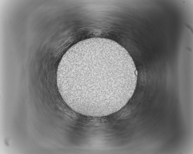 X0000103491105200810101016