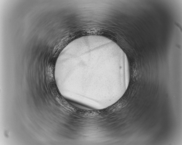 X0000103491106200810101016