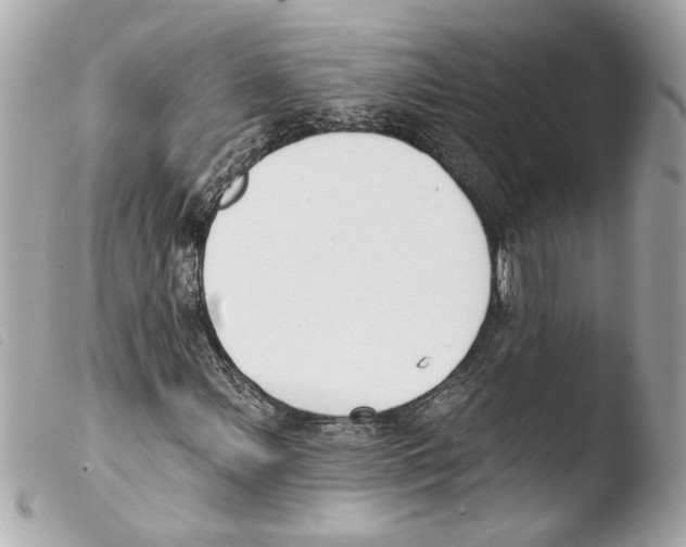 X0000103491107200810101016