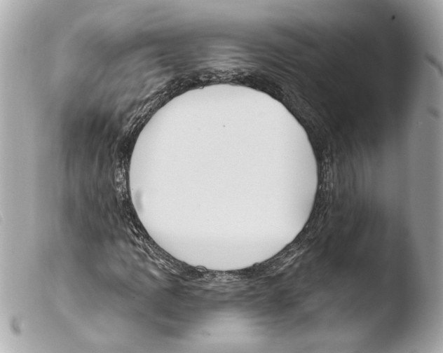 X0000103491109200810101016