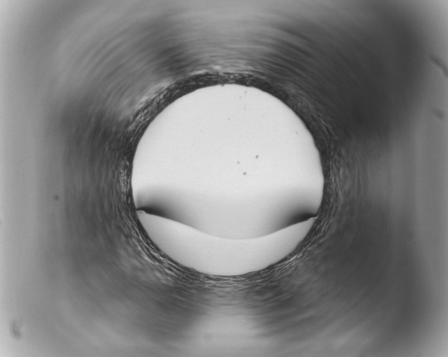 X0000103491110200810101016