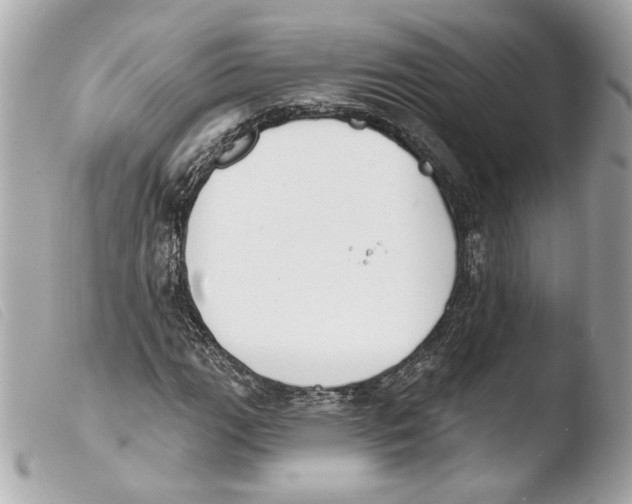 X0000103491111200810101016