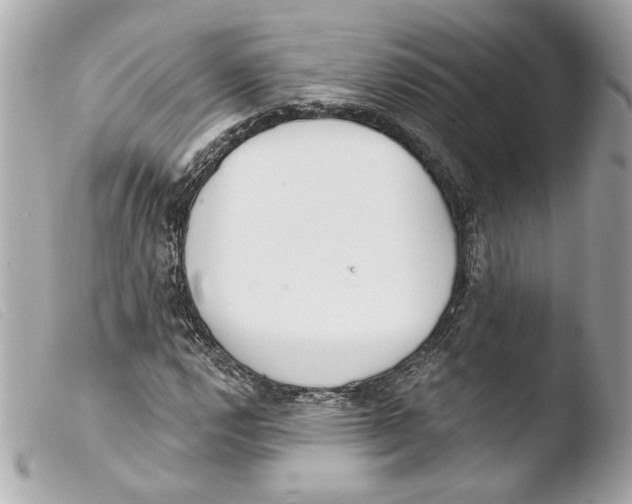 X0000103491112200810101016